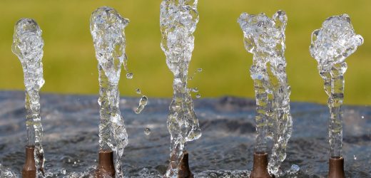 Giá Trị Của Nước: Từ Nguồn Sống Đến Trách Nhiệm Chăm Sóc Ngôi Nhà Chung