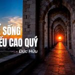 Học Để Sống Cho Điều Cao Quý