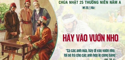Chúa Nhật XXV Thường Niên, Năm A (20.09.2026) – Hãy Vào Vườn Nho (Mt 20,1-16a)