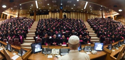 147 Tân Giám Mục Tham Dự Khóa Đào Tạo Thường Niên Tại Vatican