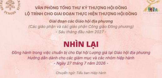 Nhìn Lại – Tài Liệu Đồng Hành Trong Việc Chuẩn Bị Cho Đại Hội Lượng Giá Tại Giáo Hội Địa Phương