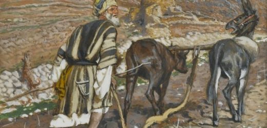 30.09.2026 – Thứ Tư Tuần XXVI Thường Niên, Năm A – Ngoái Lại Đàng Sau (Luca 9,57-62)
