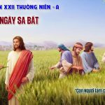05.09.2026 – Thứ Bảy Tuần XXII Thường Niên, Năm A – Chủ Ngày Sa-bát (Luca 6,1-5)