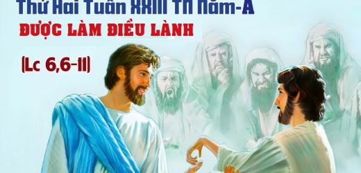 07.09.2026 – Thứ Hai Tuần XXIII Thường Niên, Năm A – Được Làm Điều Lành (Luca 6,6-11)
