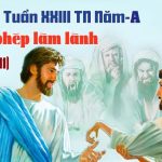 07.09.2026 – Thứ Hai Tuần XXIII Thường Niên, Năm A – Được Phép Làm Lành (Luca 6,6-11)