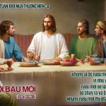 04.09.2026 – Thứ Sáu Tuần XXII Thường Niên, Năm A – Rượu Mới Bầu Mới (Luca 5,33-39)