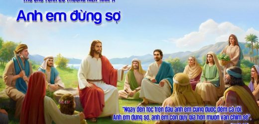 16.10.2026 – Thứ Sáu Tuần XXVIII Thường Niên, Năm A – Anh Em Đừng Sợ (Luca 12,1-7)
