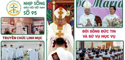 Truyền Chức Linh Mục – Đời Sống Đức Tin Và Sứ Vụ Mục Vụ: Nhịp Sống Giáo Hội Việt Nam Số 95 (06/10/2026 – 12/10/2026)