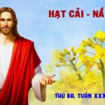 27.10.2026 – Thứ Ba Tuần XXX Thường Niên, Năm A – Hạt Cải – Nắm Men (Luca 13,18-21)