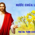 27.10.2026 – Thứ Ba Tuần XXX Thường Niên, Năm A – Nước Chúa Lớn Lên (Luca 13,18-21)