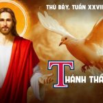 17.10.2026 – Thứ Bảy Tuần XXVIII Thường Niên, Năm A – Thánh Thần Sẽ Dạy (Luca 12,8-12)