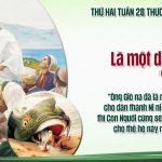 12.10.2026 – Thứ Hai Tuần XXVIII Thường Niên, Năm A – Là Một Dấu Lạ (Luca 11,29-32)