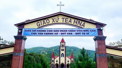 nx-tea-hna-1